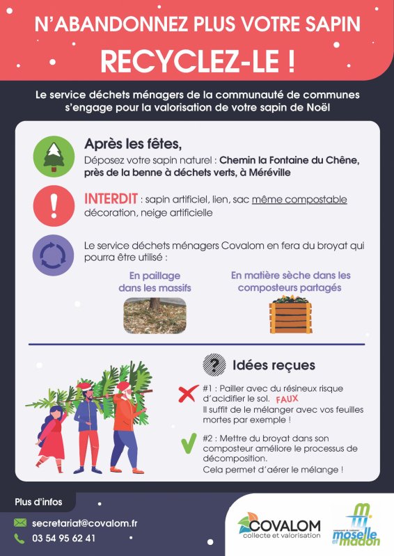 Collecte de sapins flyer