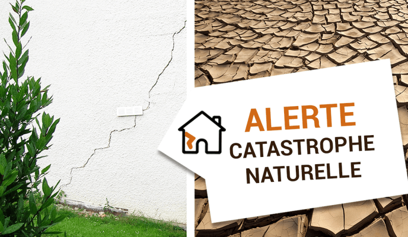 Alerte cata