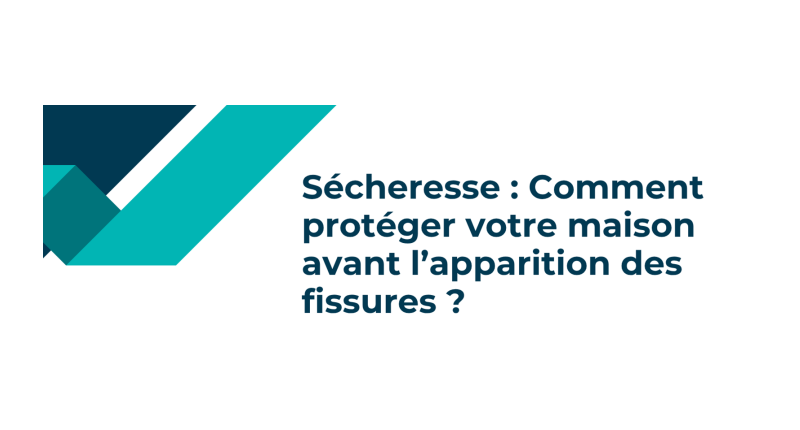 Fissures